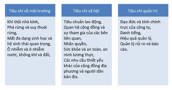 cá cược thể thao hul city